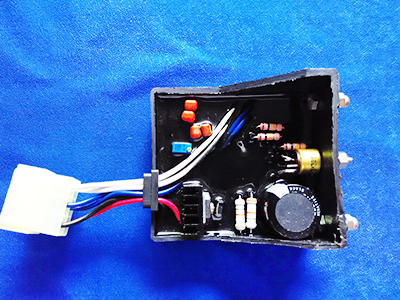 Single-phase half-wave brushless AVR